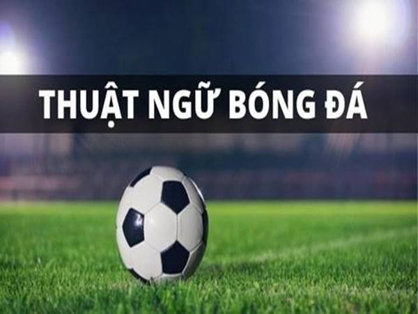 Một vài thuật ngữ bóng đá chuyên nghiệp thường gặp