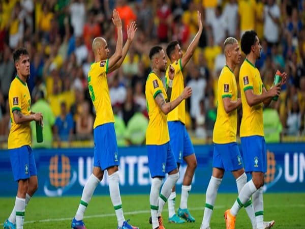 Thành tích của Brazil qua mỗi kỳ World Cup