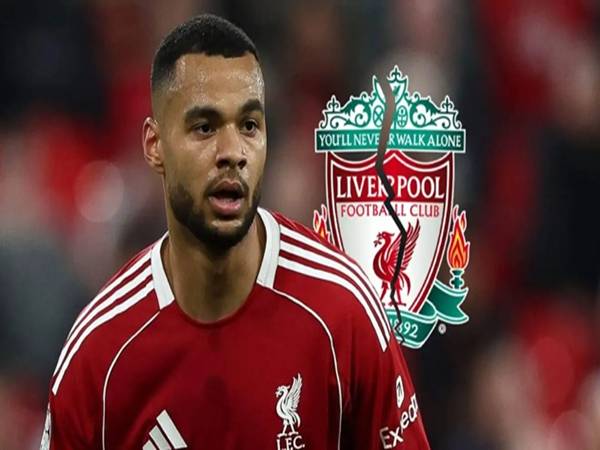 Gapo sẽ rời Liverpool